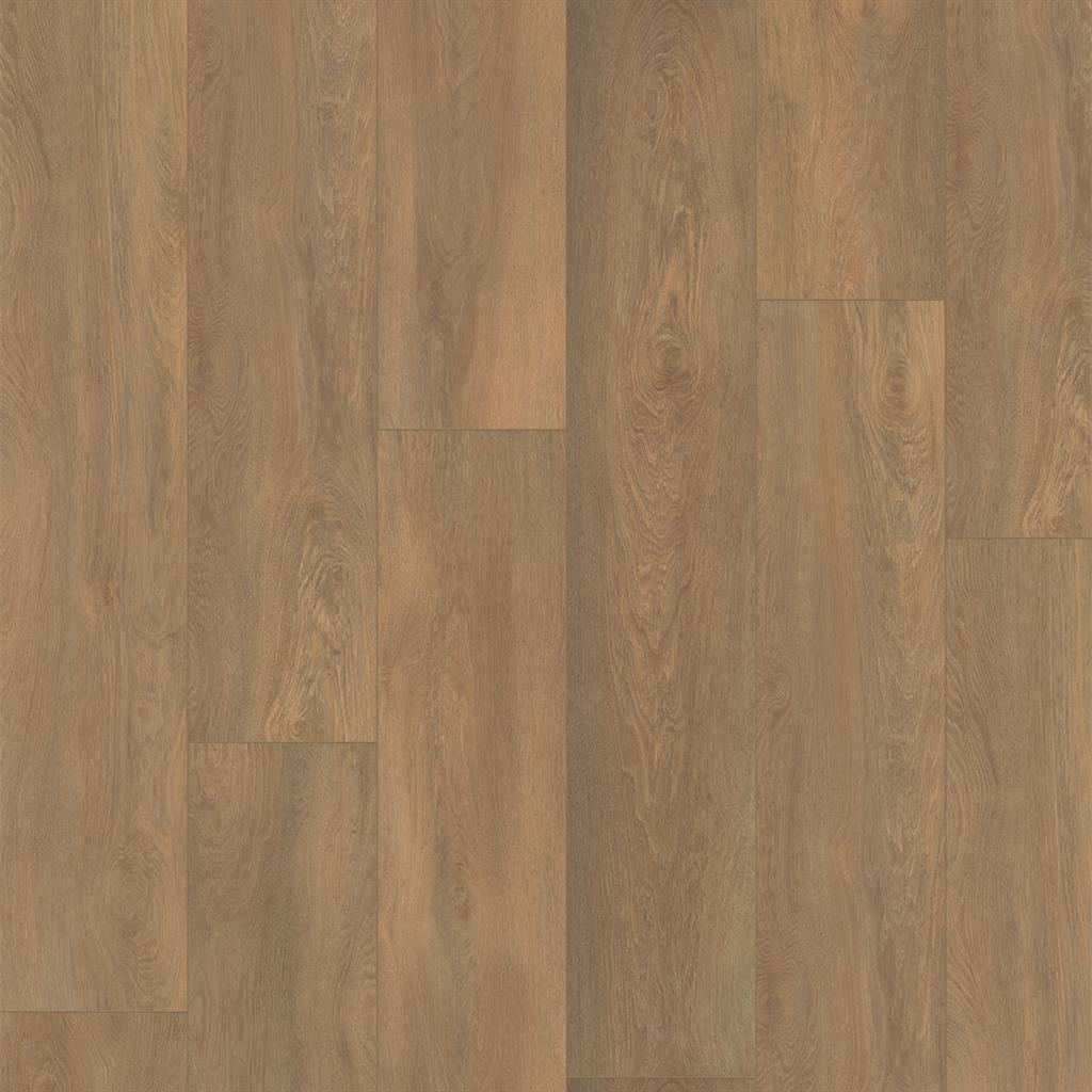 Arnstadt 5037.8109.19