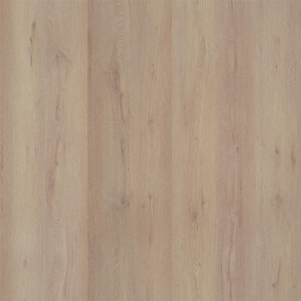 Ambiant Livera laminaat lichtbeige eiken