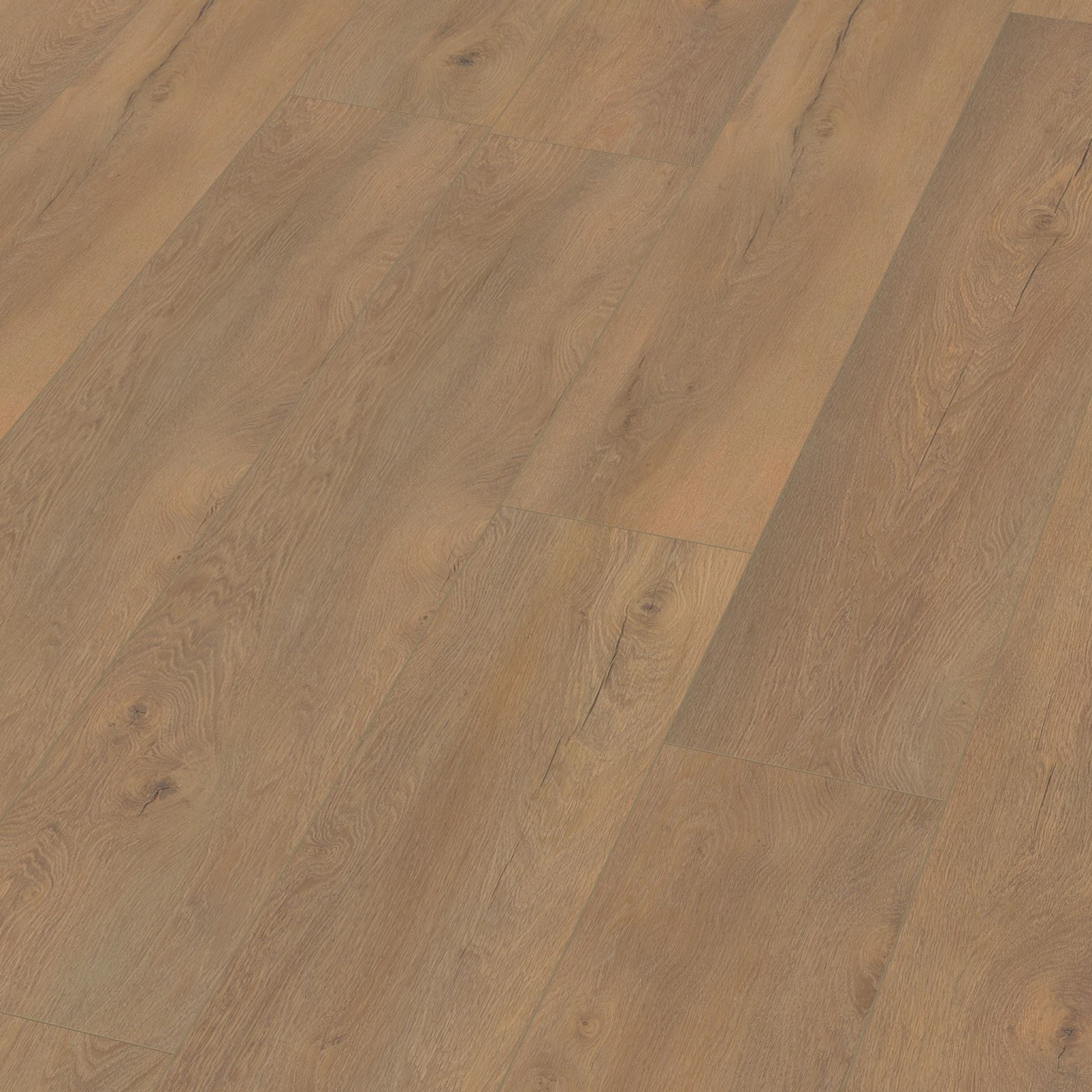 Saarland Natuur Eiken 5038.8107.19