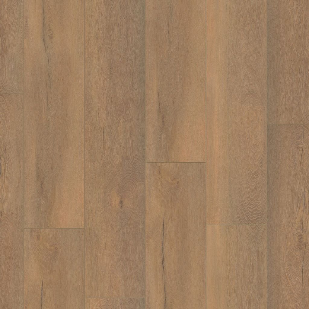 Ambiant Saarland Natuur Eiken