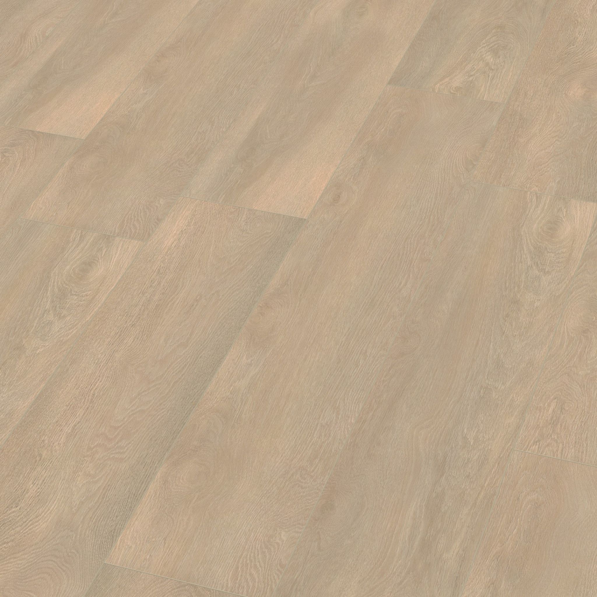 Ambiant Arnstadt Natuur Eiken