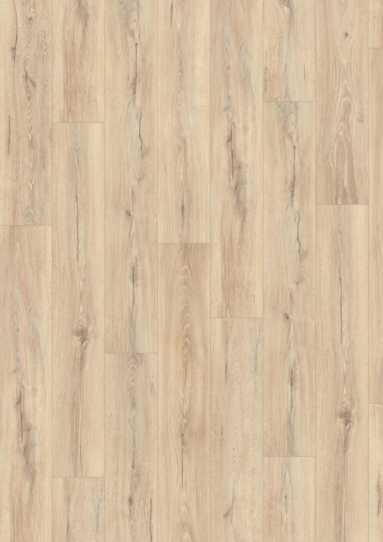 Oak Palewhite 5516