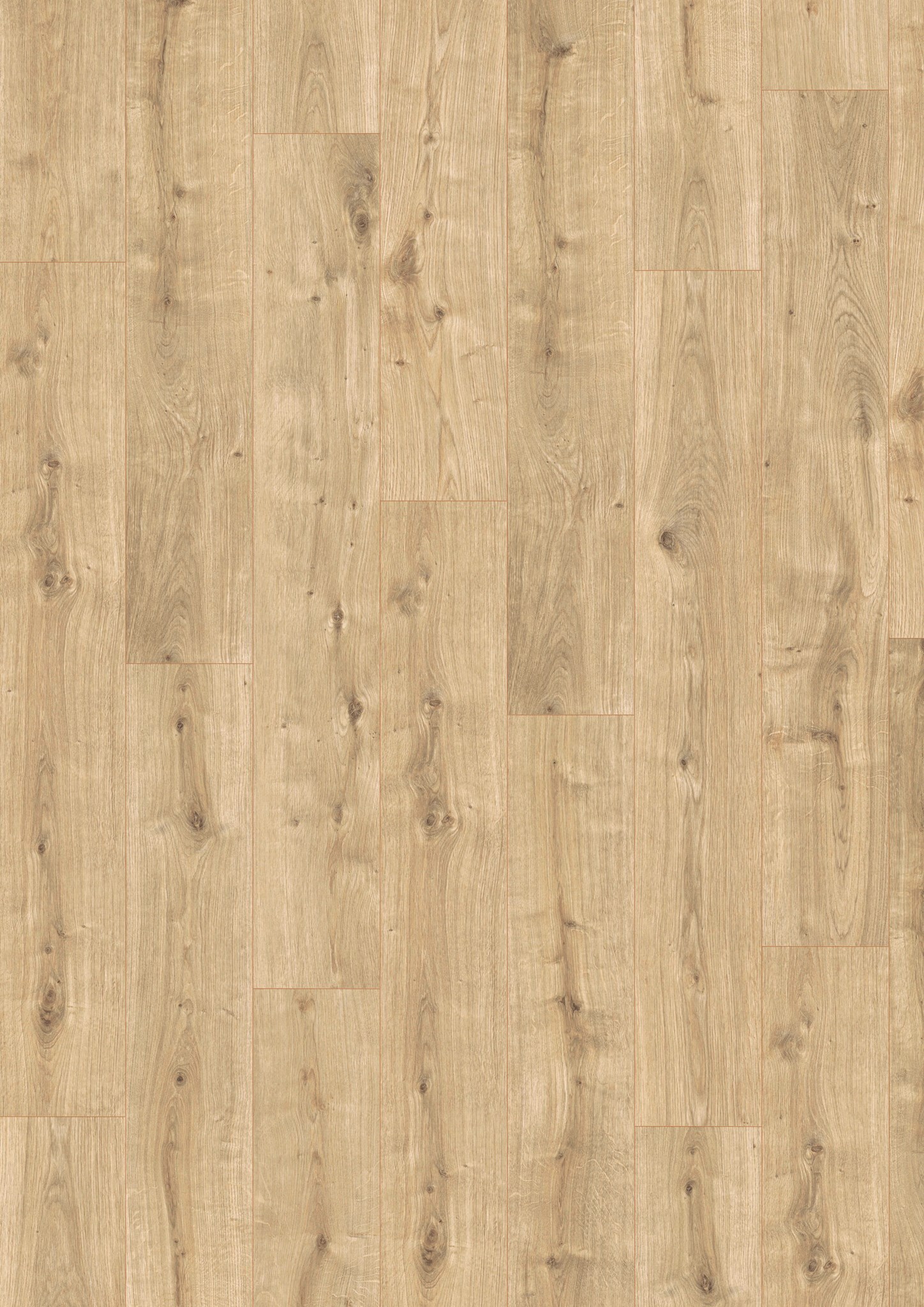 Oak Pure 5531