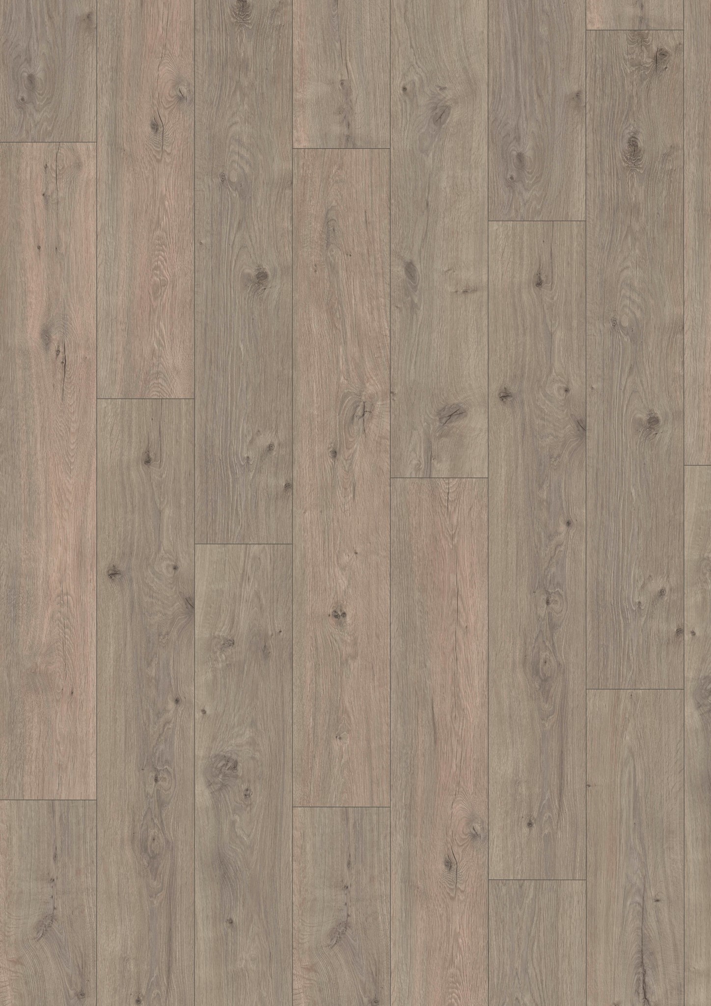 Oak Shadow 4833