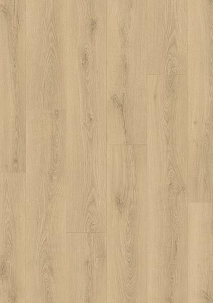 Ruwe Eik CLM5788