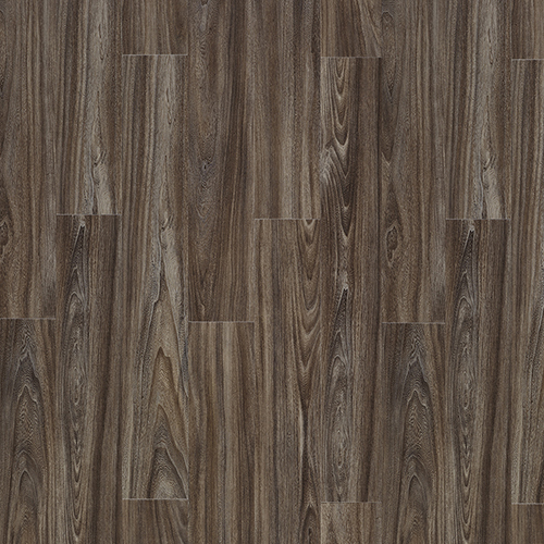 Baltic Maple 28884