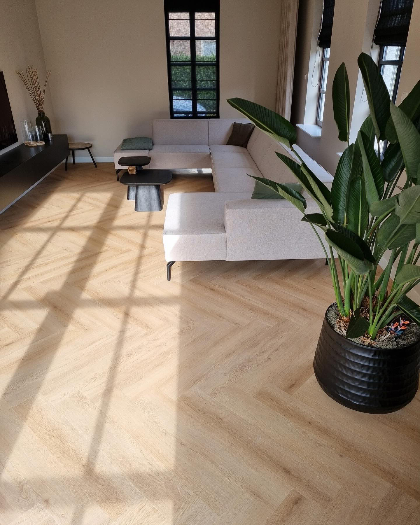 Floer Walvisgraat click PVC FLR-3916 Close-up van houtdessin Cetus Creme visgraat click pvc met natuurlijke tekening