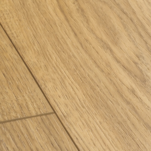 BAGP40025 Cottage Eik Natuur
