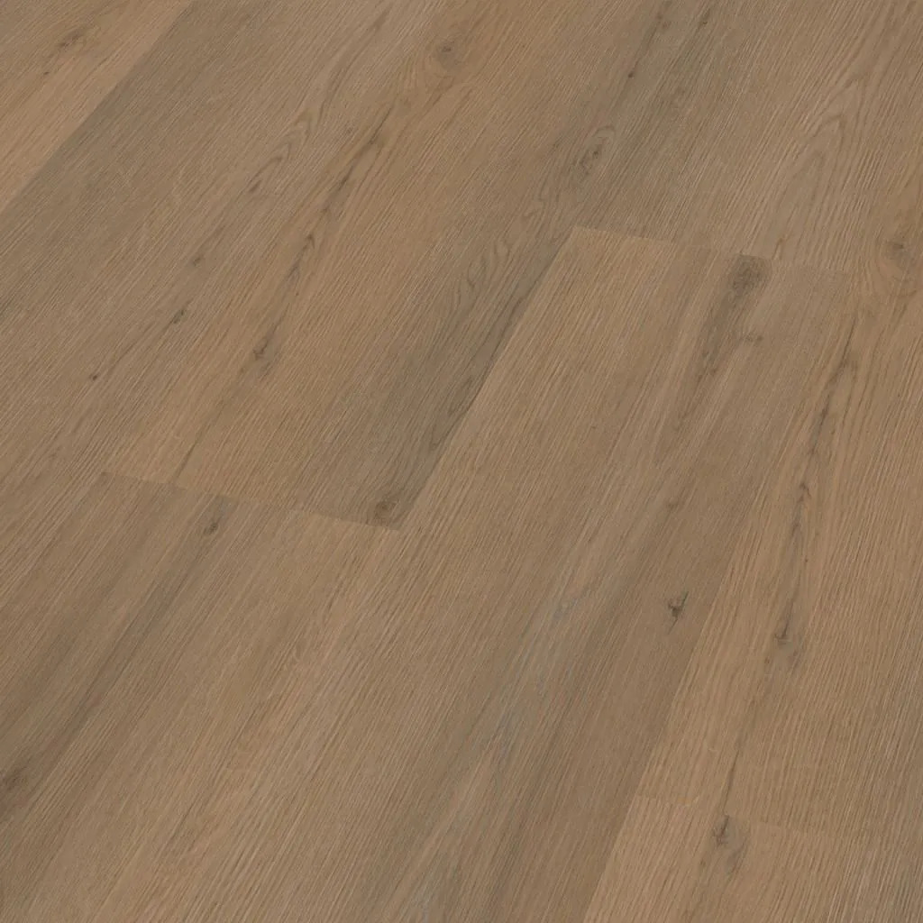Venera dryback Dark Oak 8511