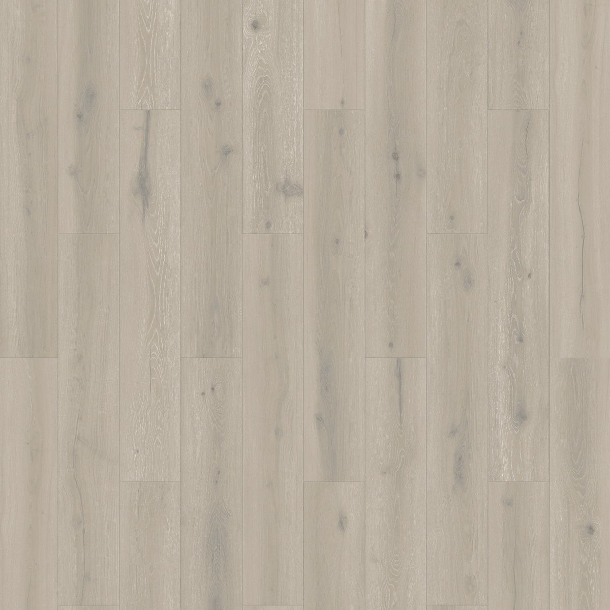 Forest Oak Papyrus