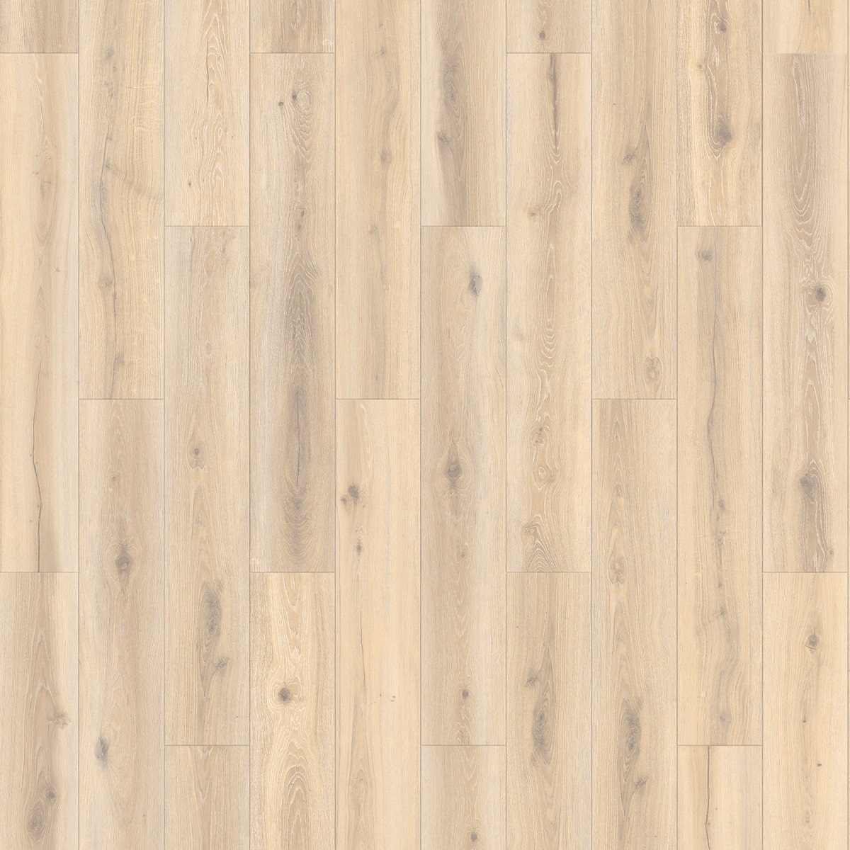Tarkett Click Forest Oak Pistaccio Shell