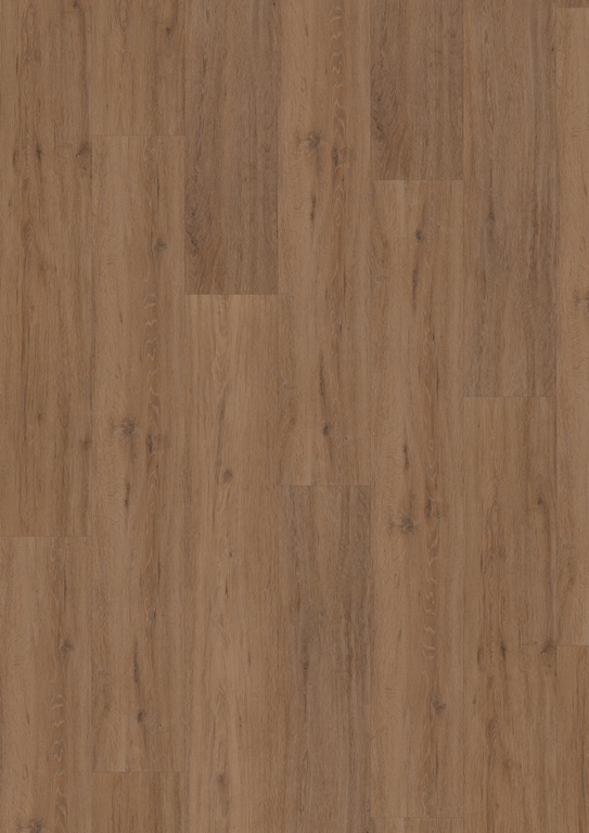 Hoomline Fusion Superior Gotham Oak Honey 44201 plak PVC plank close-up van nerf en natuurlijke kleurnuances