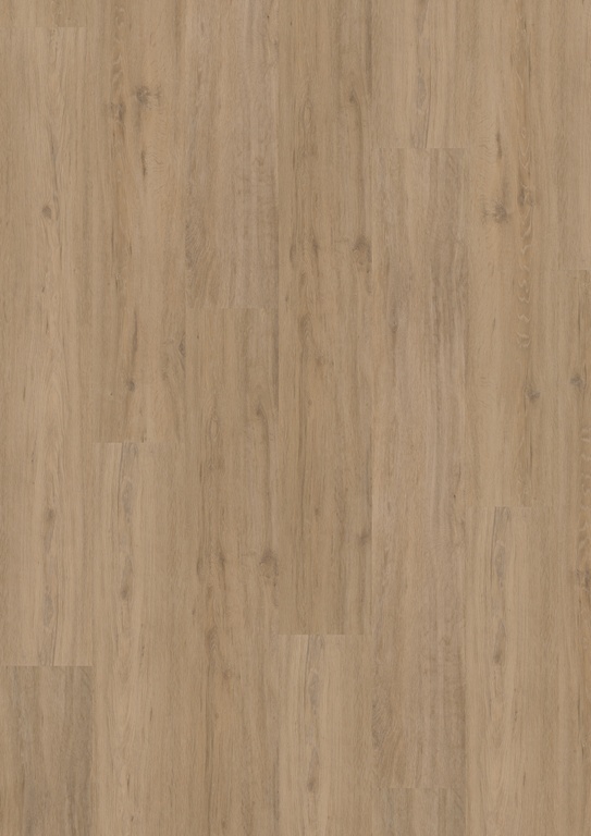 Hoomline Fusion Superior Gotham Oak Natural 44200 dryback PVC