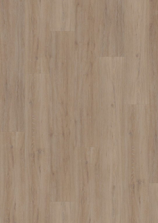 Hoomline Fusion Superior Gotham Oak Oiled 44203 plak PVC plank close-up van nerf en natuurlijke kleurnuances