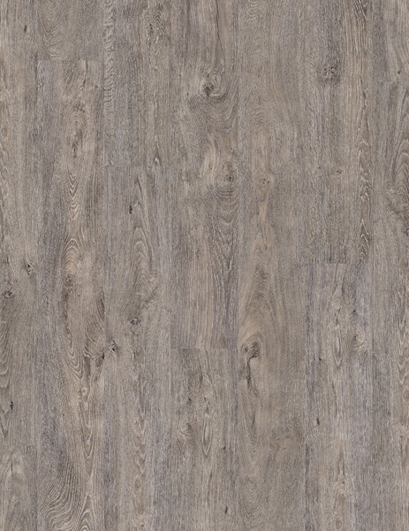50-LVR-9605 Great Northern Oak