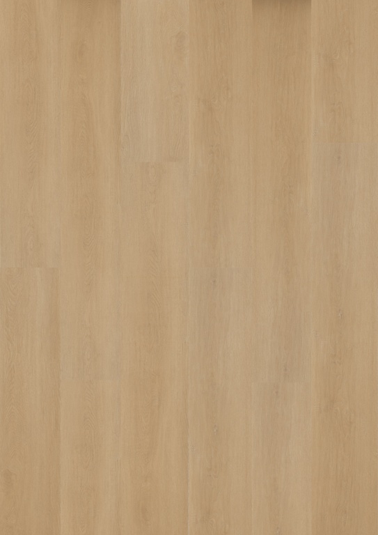 Hoomline Prestige Click Imperia 5052 click PVC plank close-up van nerf en natuurlijke kleurnuances