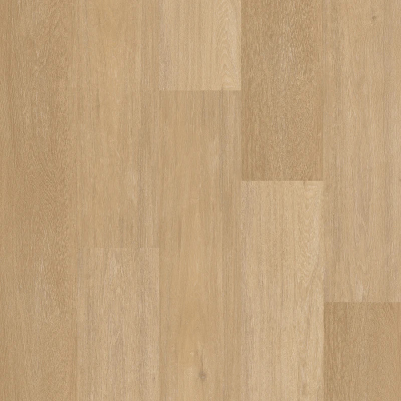 Therdex Chevron XL Click C12041