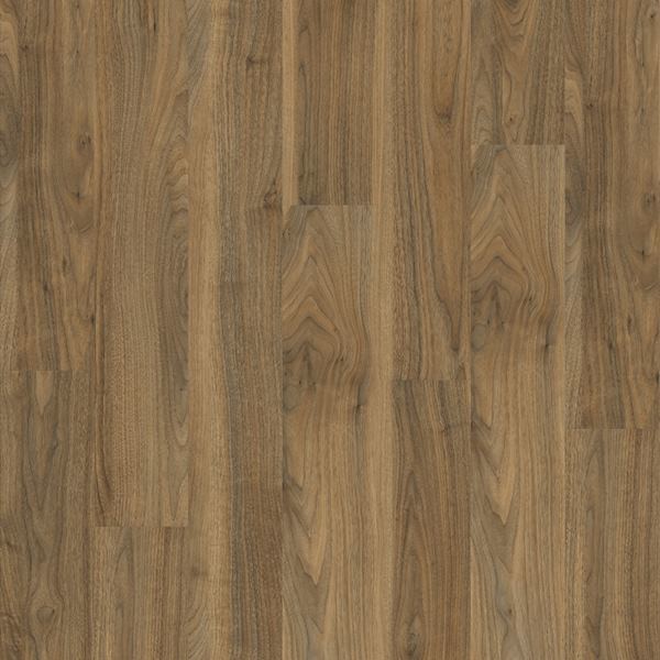 English Walnut 20565