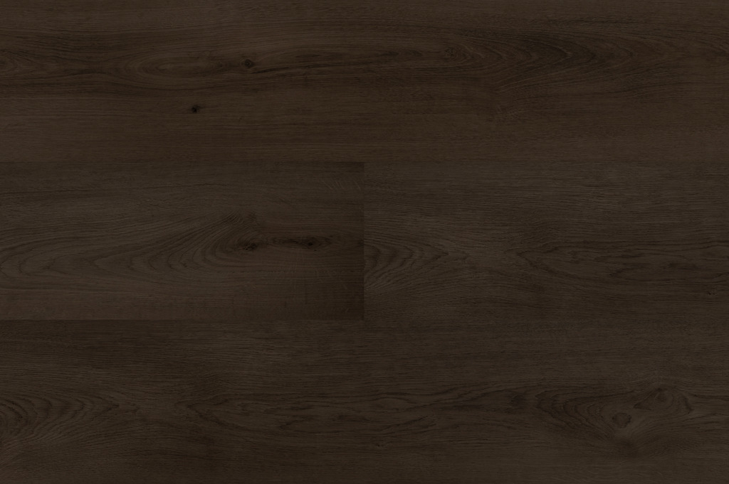 Hebeta Clermont 54827