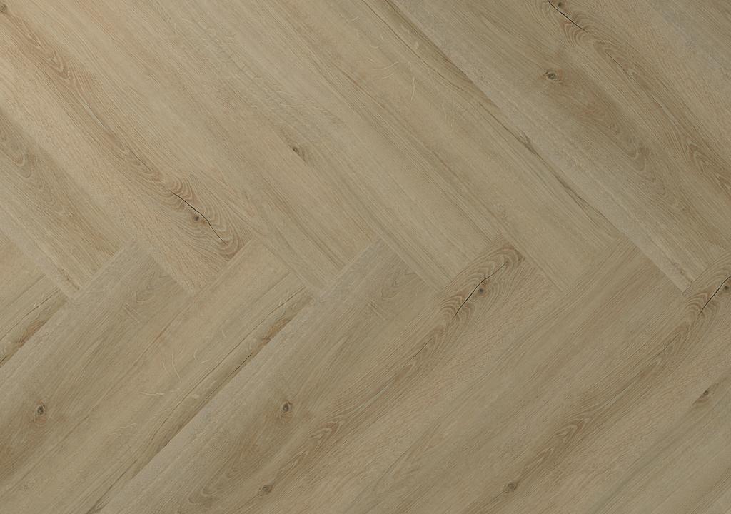 Hebeta Clermont visgraat 77823