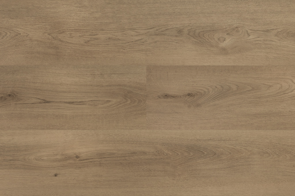 Hebeta Clermont XL click 55825