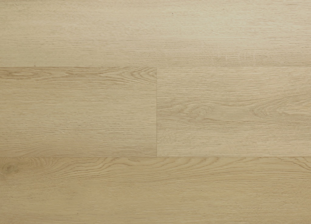 Hebeta Clermont 54821