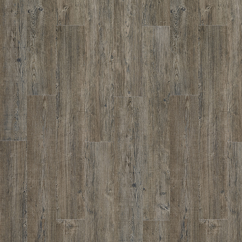 Latin Pine 24868