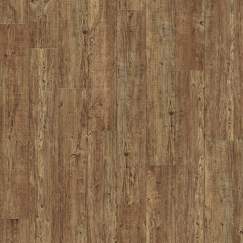 Latin Pine 24874