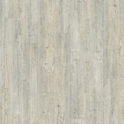 Latin Pine 24242