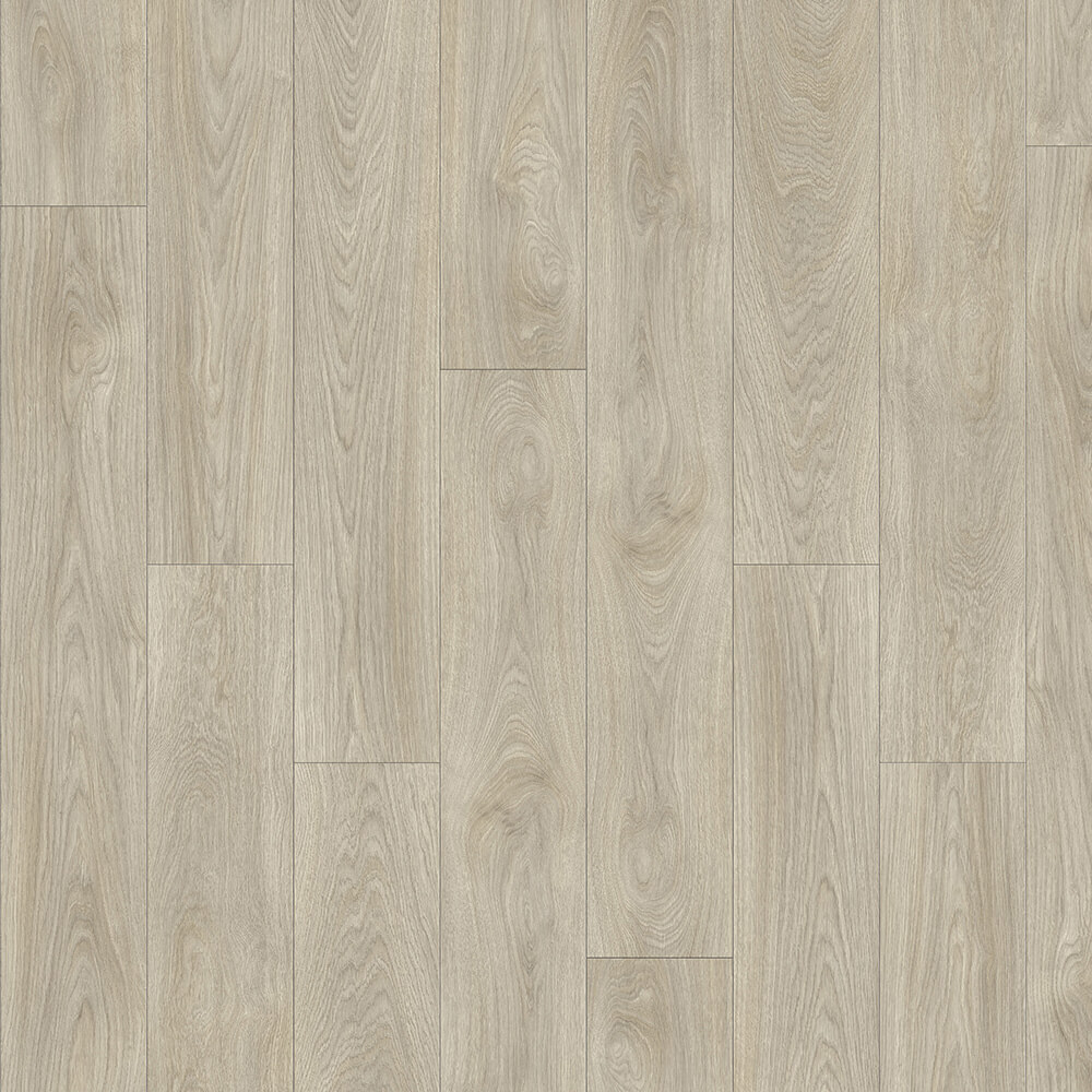 Laurel Oak 51222