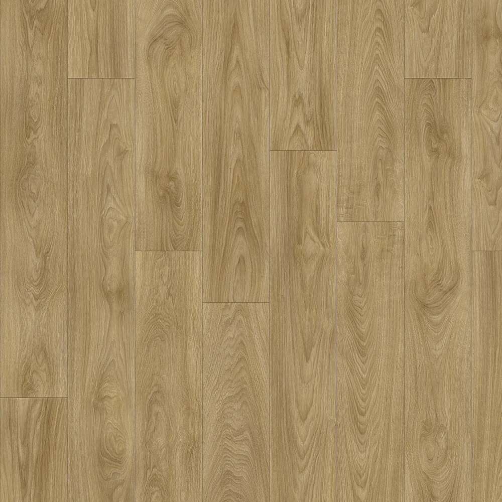 Laurel Oak 51262