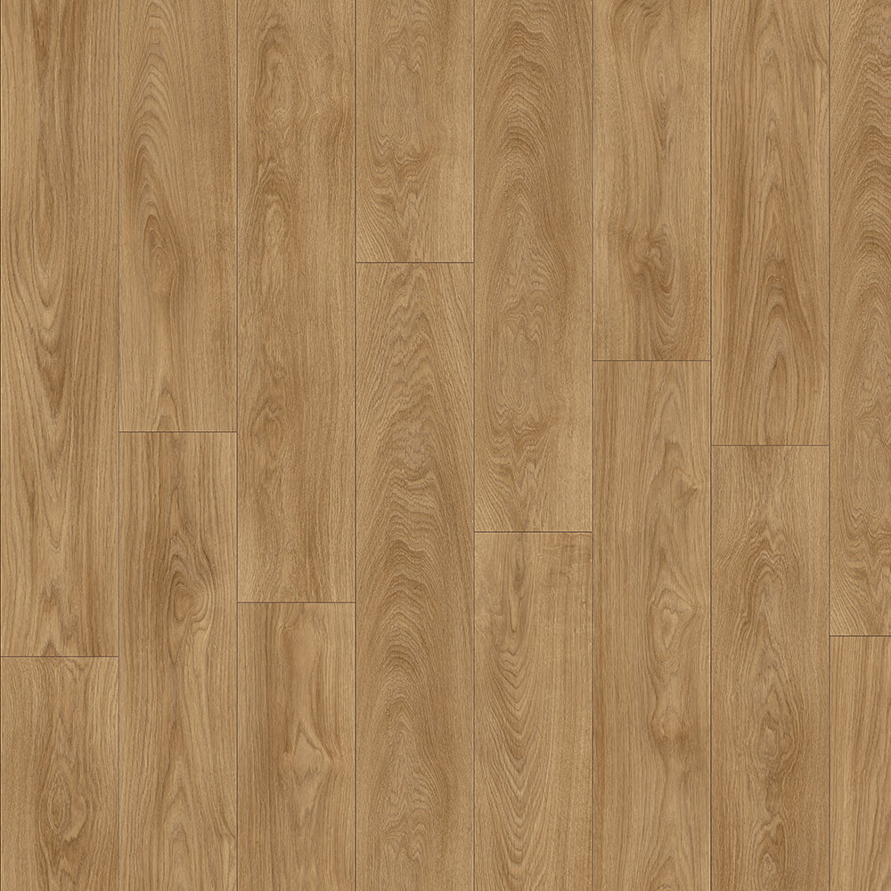 Laurel Oak 51822