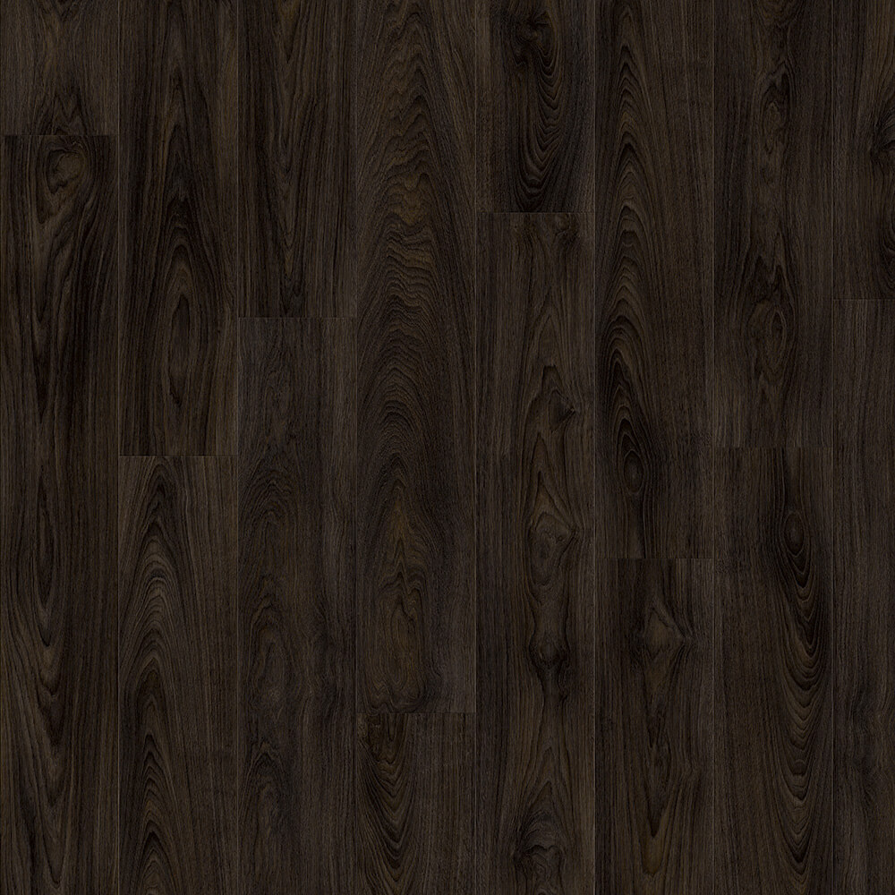 Laurel Oak 51992