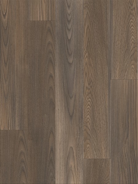 Mexican Ash 20875