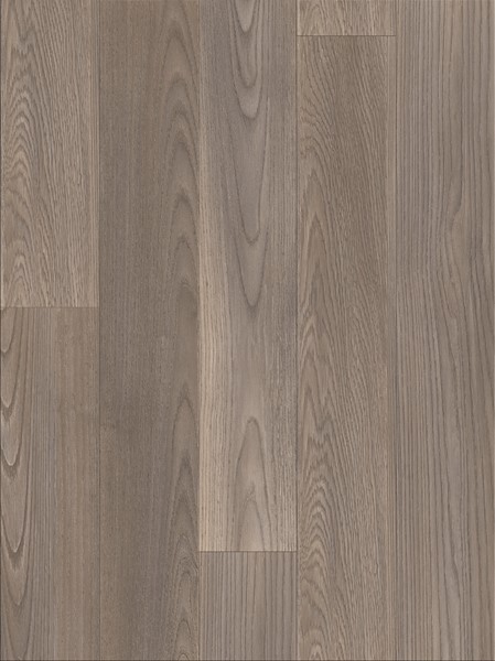 Mexican Ash 20965