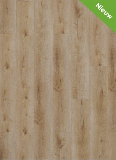 Gelasta Dynamic click Natural Smoked 3501