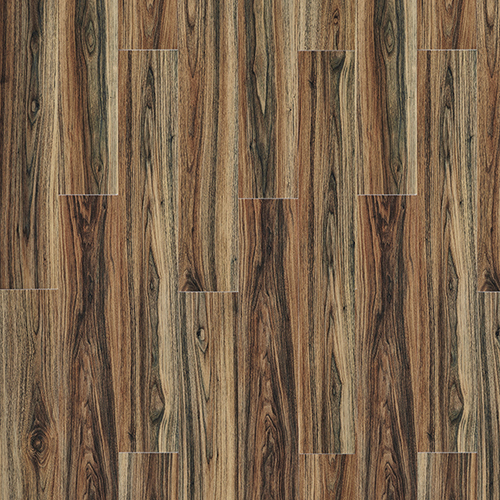 Persian Walnut 20444