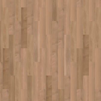 41822 Mflor Pure Sycamore Broad Leaf