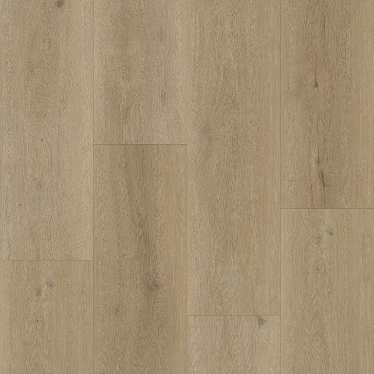 Bodiax Thor BP500 Click Sage 532 click PVC plank close-up van houttekening en subtiele structuur
