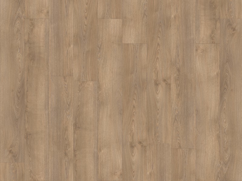 Sherman Oak XL 22232XL