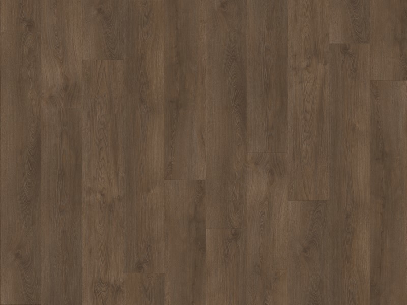 Moduleo Sherman Oak XL 22841XL
