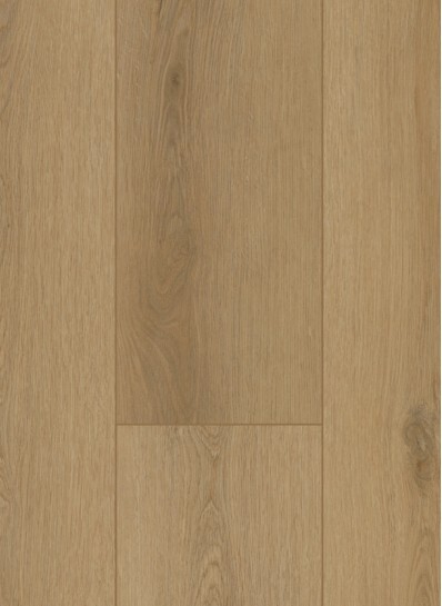 Gelasta Firmfit Sierra Naturel 6502 plak PVC plank close-up van de voelbare decorstructuur