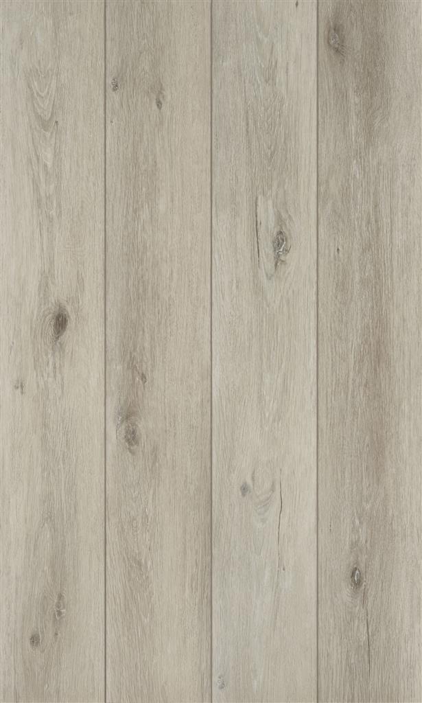 50-LVPE-859 Coretec Swamp Naturals+