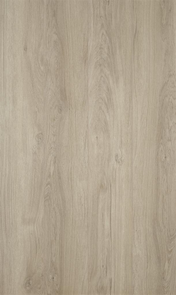 50-LVPE-853 Coretec Timber Naturals+