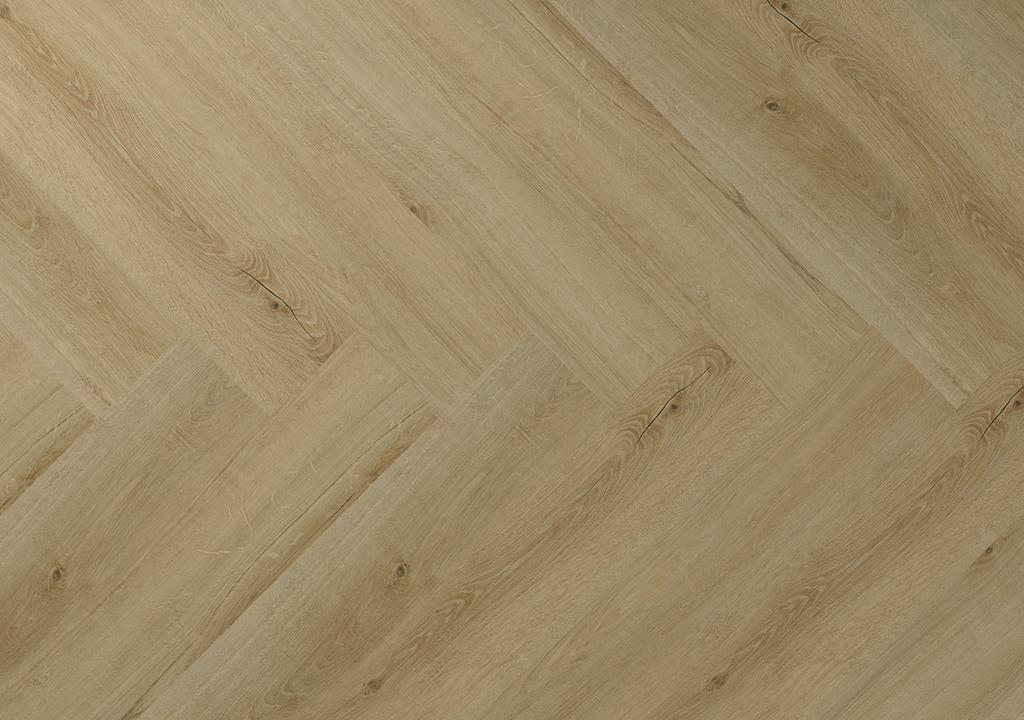 Hebeta Clermont visgraat 77822