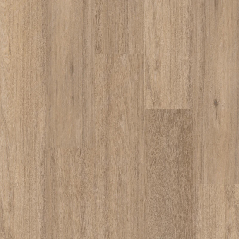 Therdex click 3020-C