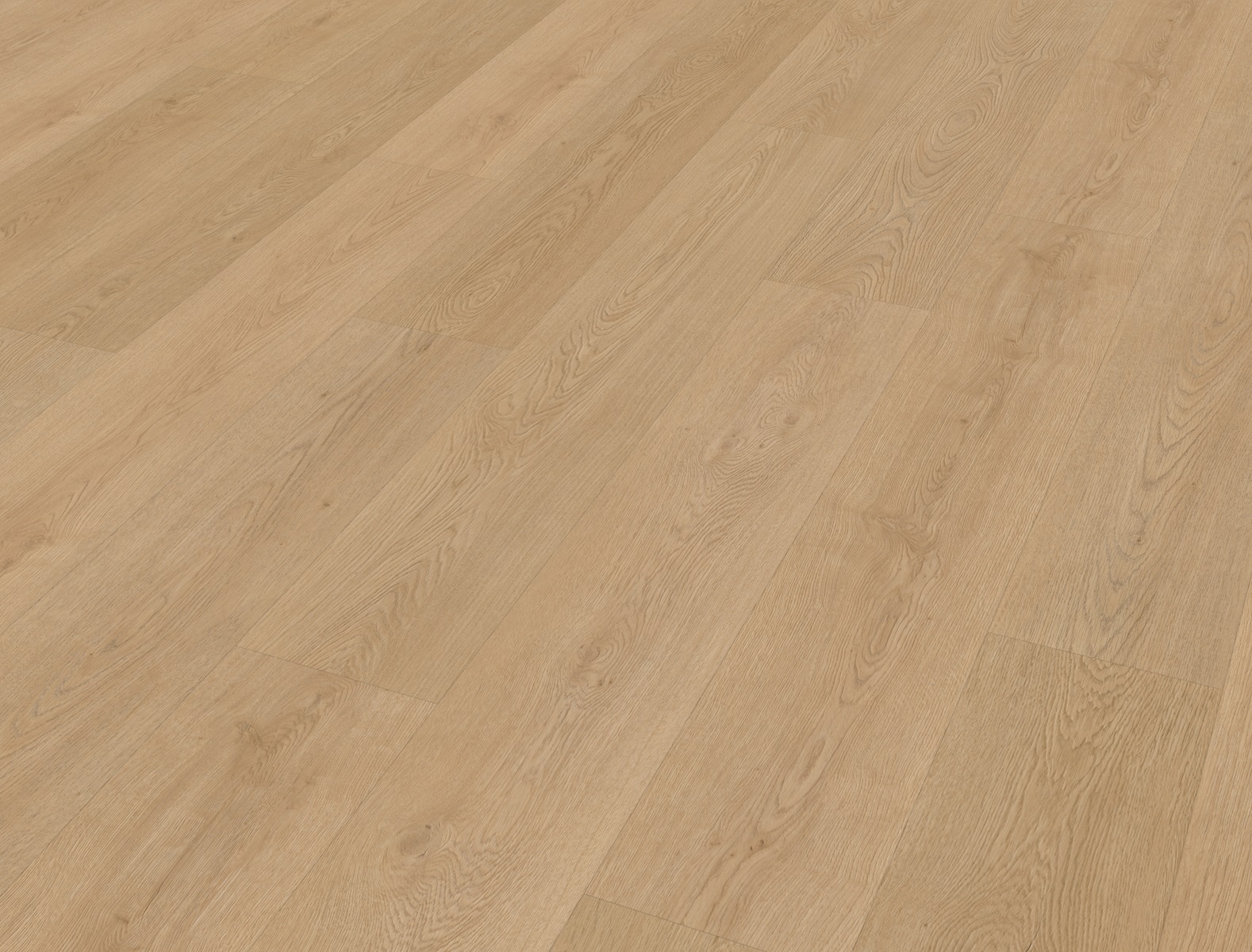 Belakos Monastro dryback 930