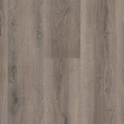 Progress Warm Bruin 54818