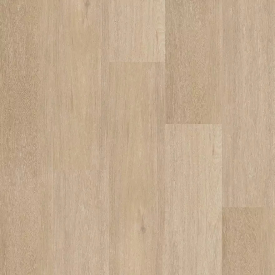 Therdex Chevron 12042